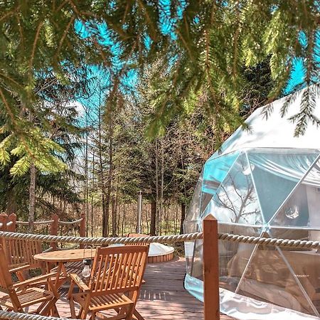 Medve Dome - Luxury Camping In The Middle Of Nature 호텔 블러히차 외부 사진