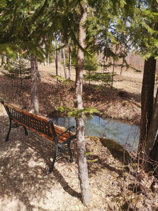 Medve Dome - Luxury Camping In The Middle Of Nature 호텔 블러히차 외부 사진