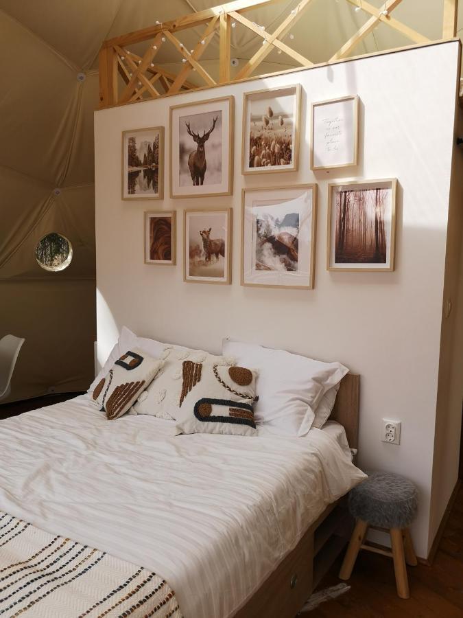 Medve Dome - Luxury Camping In The Middle Of Nature 호텔 블러히차 외부 사진