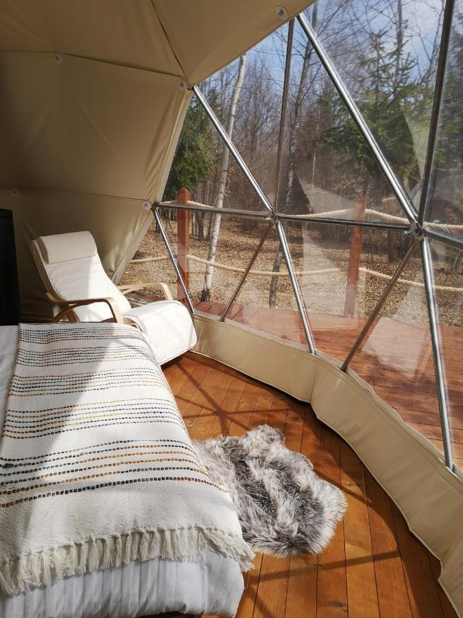Medve Dome - Luxury Camping In The Middle Of Nature 호텔 블러히차 외부 사진
