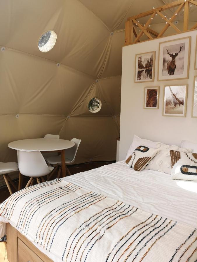 Medve Dome - Luxury Camping In The Middle Of Nature 호텔 블러히차 외부 사진