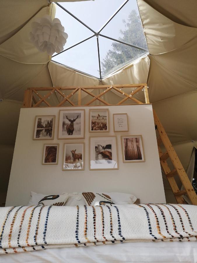Medve Dome - Luxury Camping In The Middle Of Nature 호텔 블러히차 외부 사진