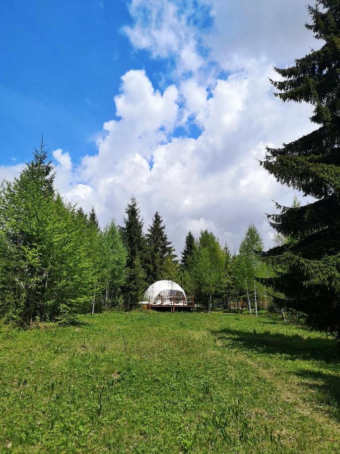 Medve Dome - Luxury Camping In The Middle Of Nature 호텔 블러히차 외부 사진