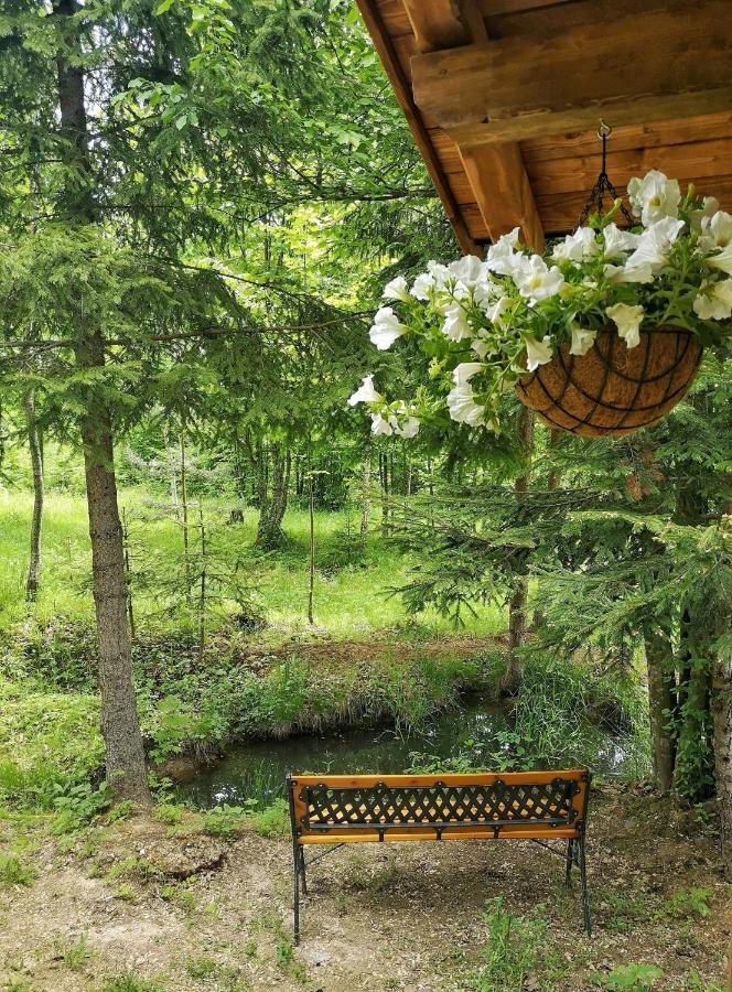 Medve Dome - Luxury Camping In The Middle Of Nature 호텔 블러히차 외부 사진