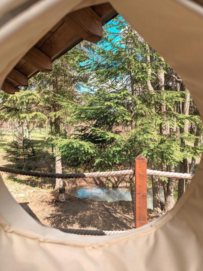 Medve Dome - Luxury Camping In The Middle Of Nature 호텔 블러히차 외부 사진